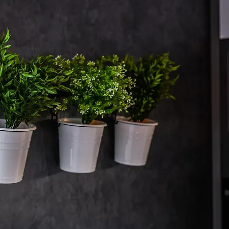 Luxury Loft Modern And Elegant Pressburg