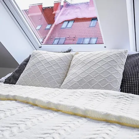 Luxury Loft Modern And Elegant ברטיסלאבה